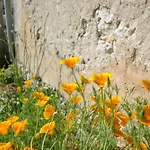 Le Buffet De La Gare 度假居 Plaisance (Dordogne)