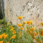 Le Buffet De La Gare * Plaisance (Dordogne)